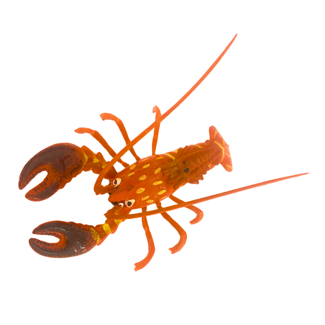 Wobbly Mag Lobster Orange