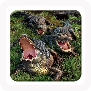 COASTER 3D - CROC COUNTRY