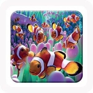 COASTER 3D - CLOWNFISH