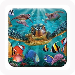 COASTER 3D - TINY BUBBLES