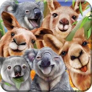 COASTER 3D KOALA & KANG SELFIE