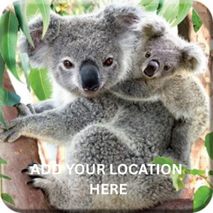COASTER 3D KOALA & JOEY