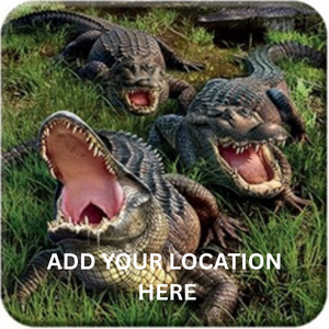 COASTER 3D - CROC COUNTRY
