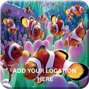 COASTER 3D - CLOWNFISH
