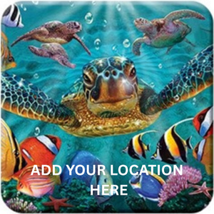 COASTER 3D - TINY BUBBLES