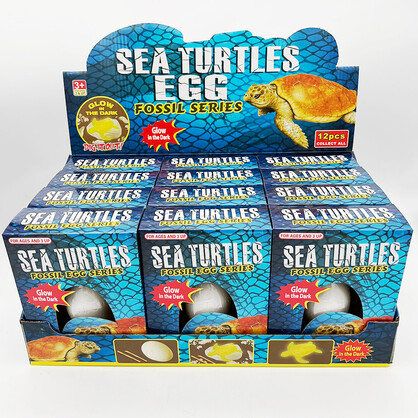 GITD Sea Turtle Fossil Set