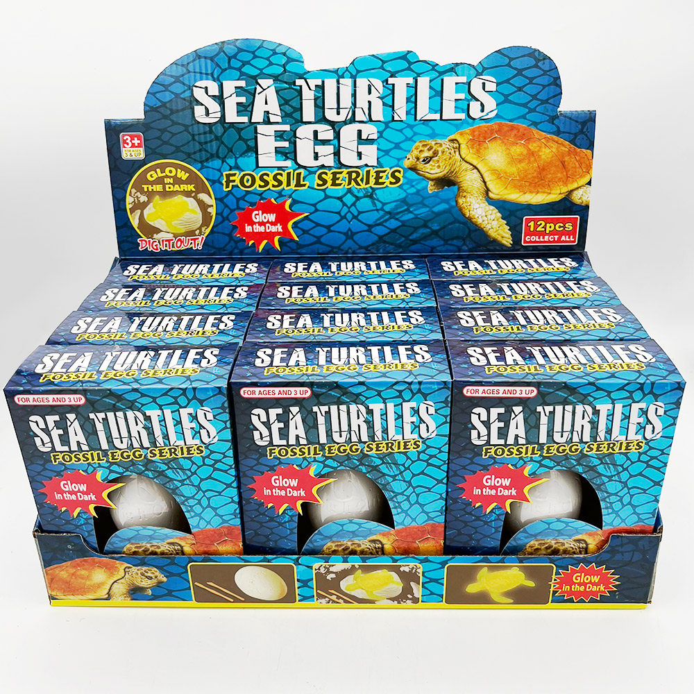 GITD Sea Turtle Fossil Set