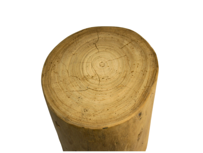 Recycled Elm Log