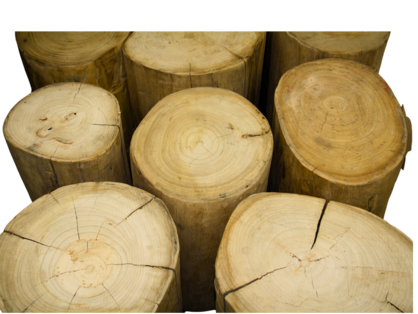 Recycled Elm Log