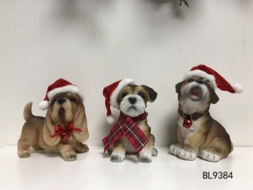Dog in Hat Set of 3