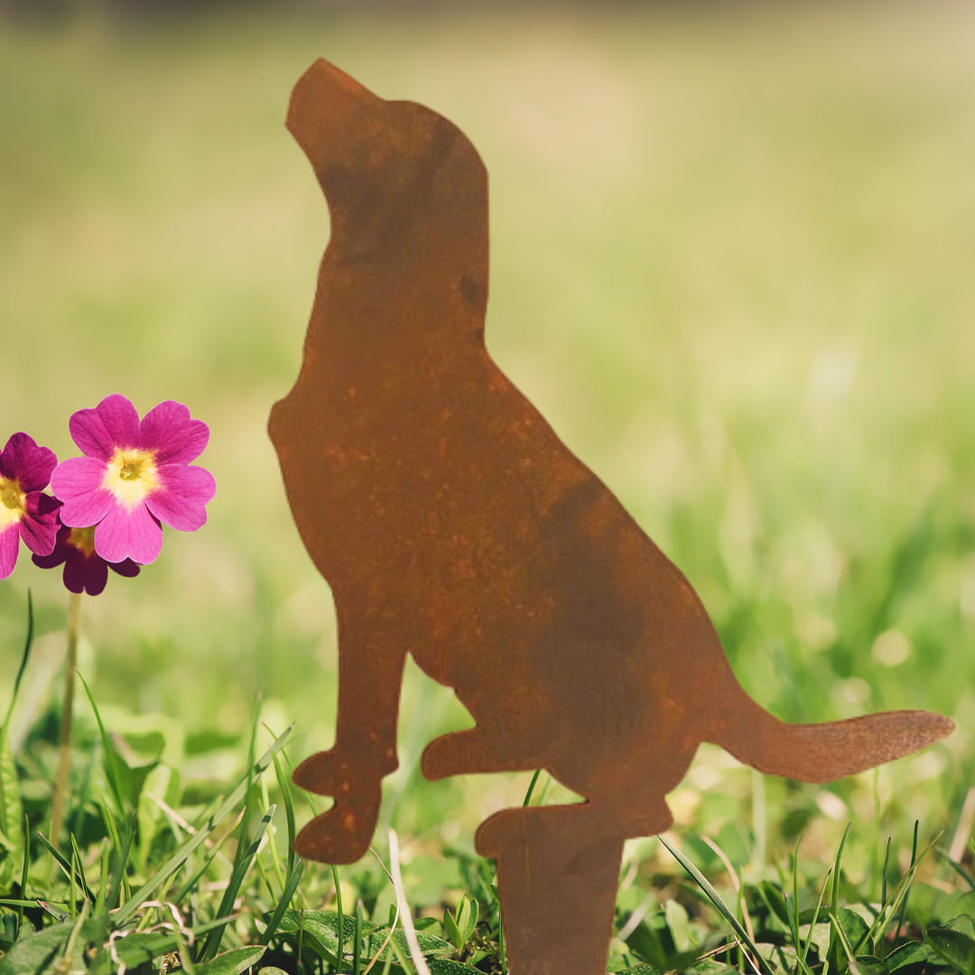 Labrador - Metal Rusty Garden Art for a Dog Lover - Animal Stake - Metal Garden Art - Garden Stake - Animal Art - Golden Retriever