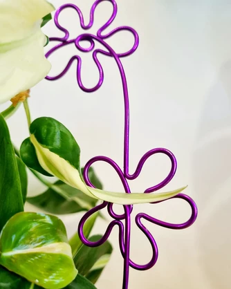 That’s Groovy Plant Trellis