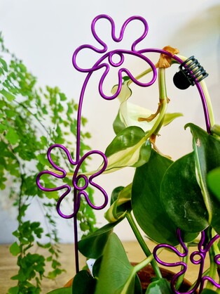 That’s Groovy Plant Trellis