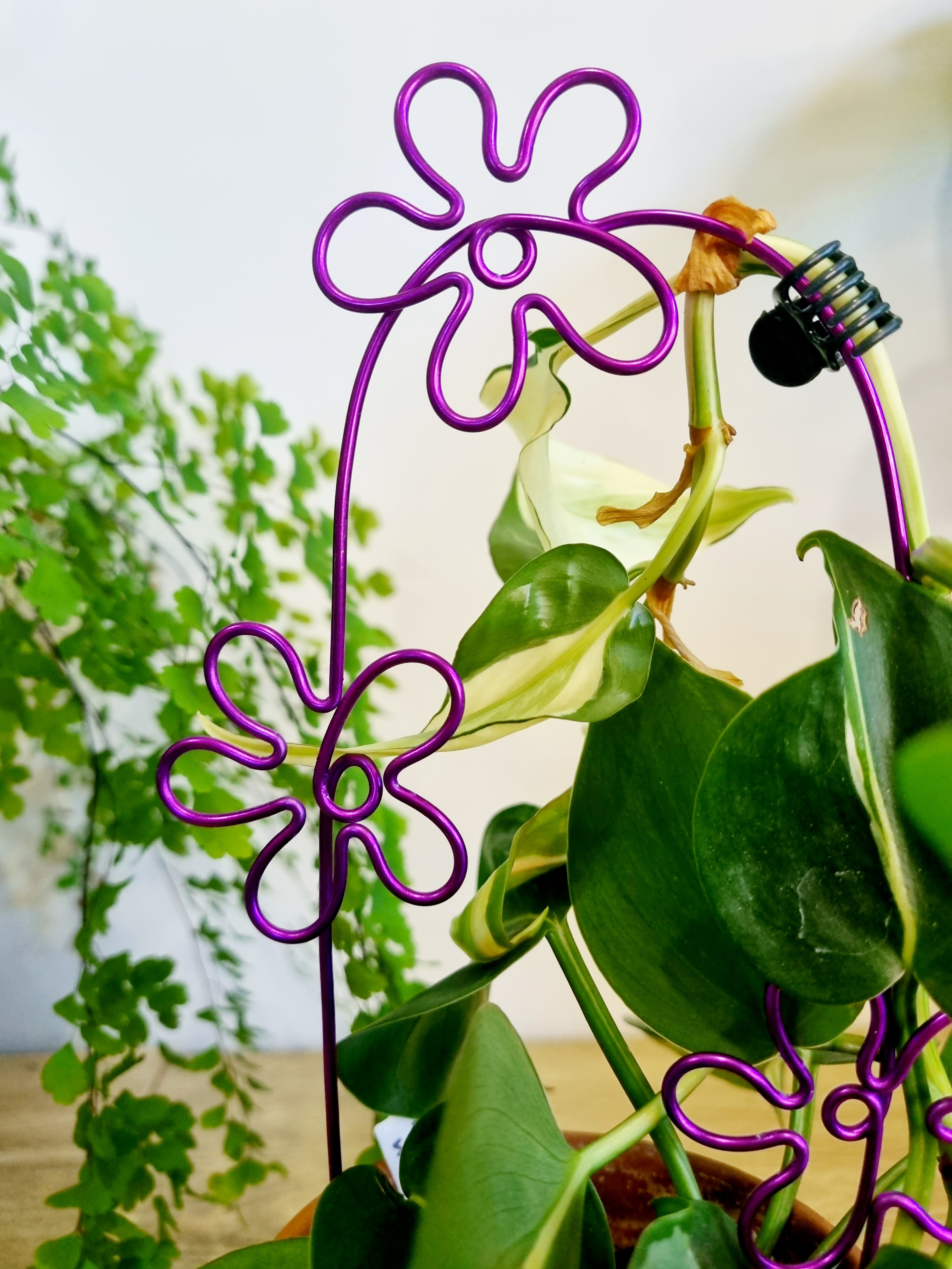 That’s Groovy Plant Trellis