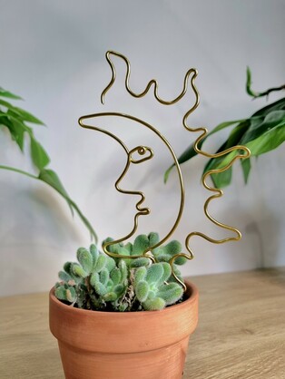 Sun on the Flipside Plant Stake