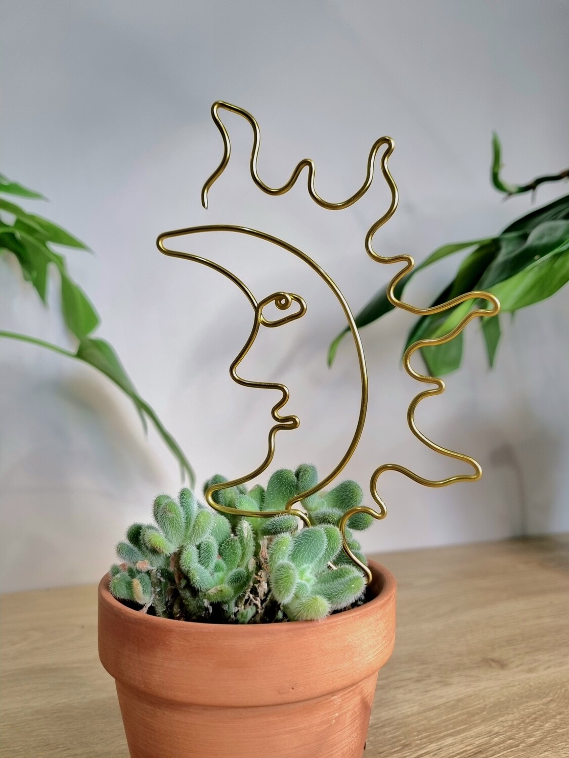 Sun on the Flipside Plant Stake