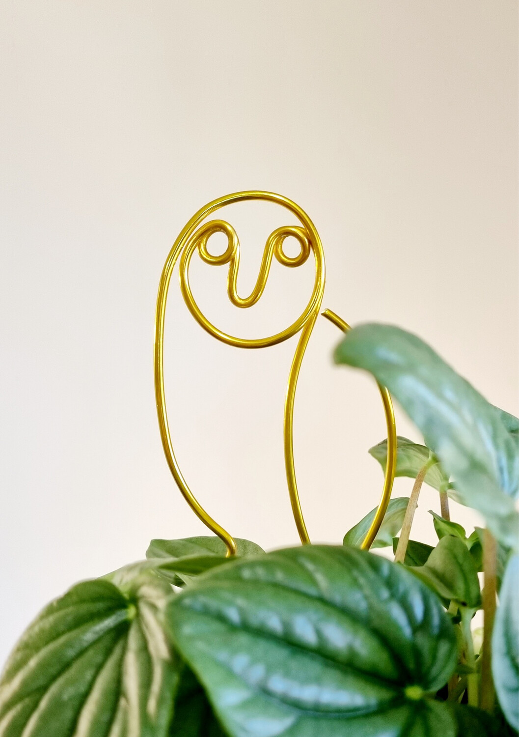 OWL you doing - plant stake
