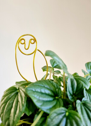 OWL you doing - plant stake