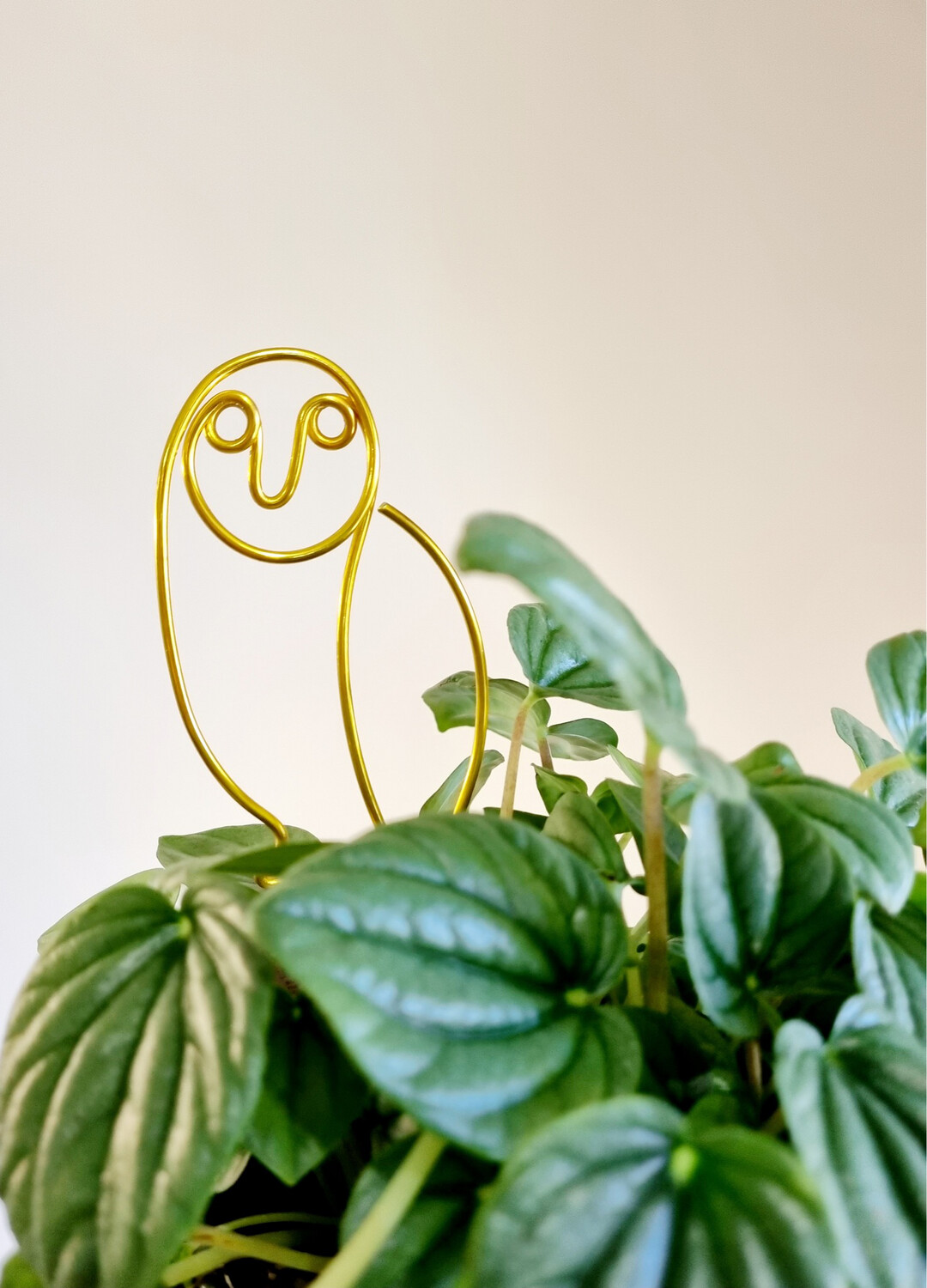OWL you doing - plant stake
