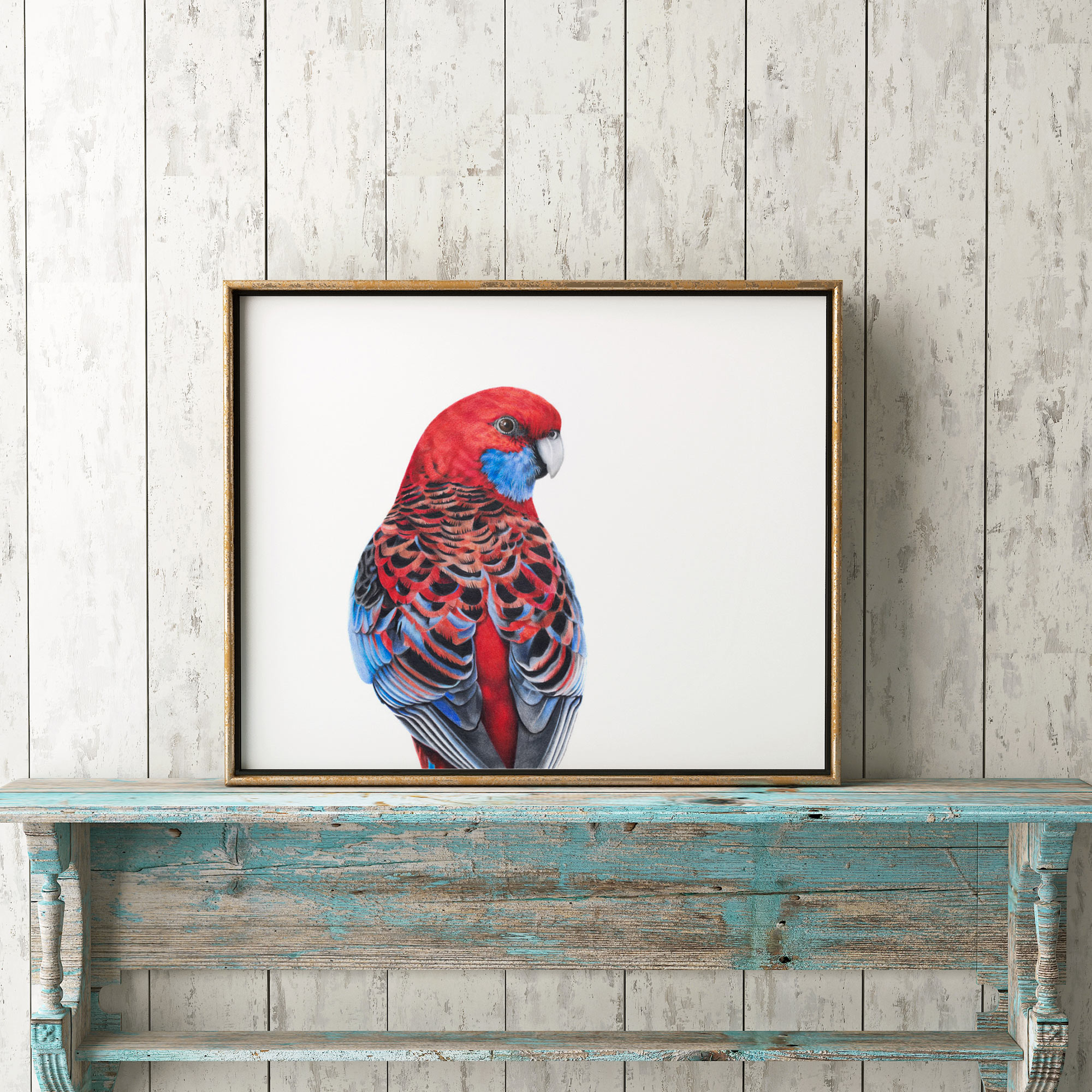 Crimson Rosella Fine Art Print
