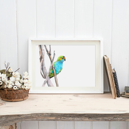 Purple-crowned Lorikeet Fine Art Print