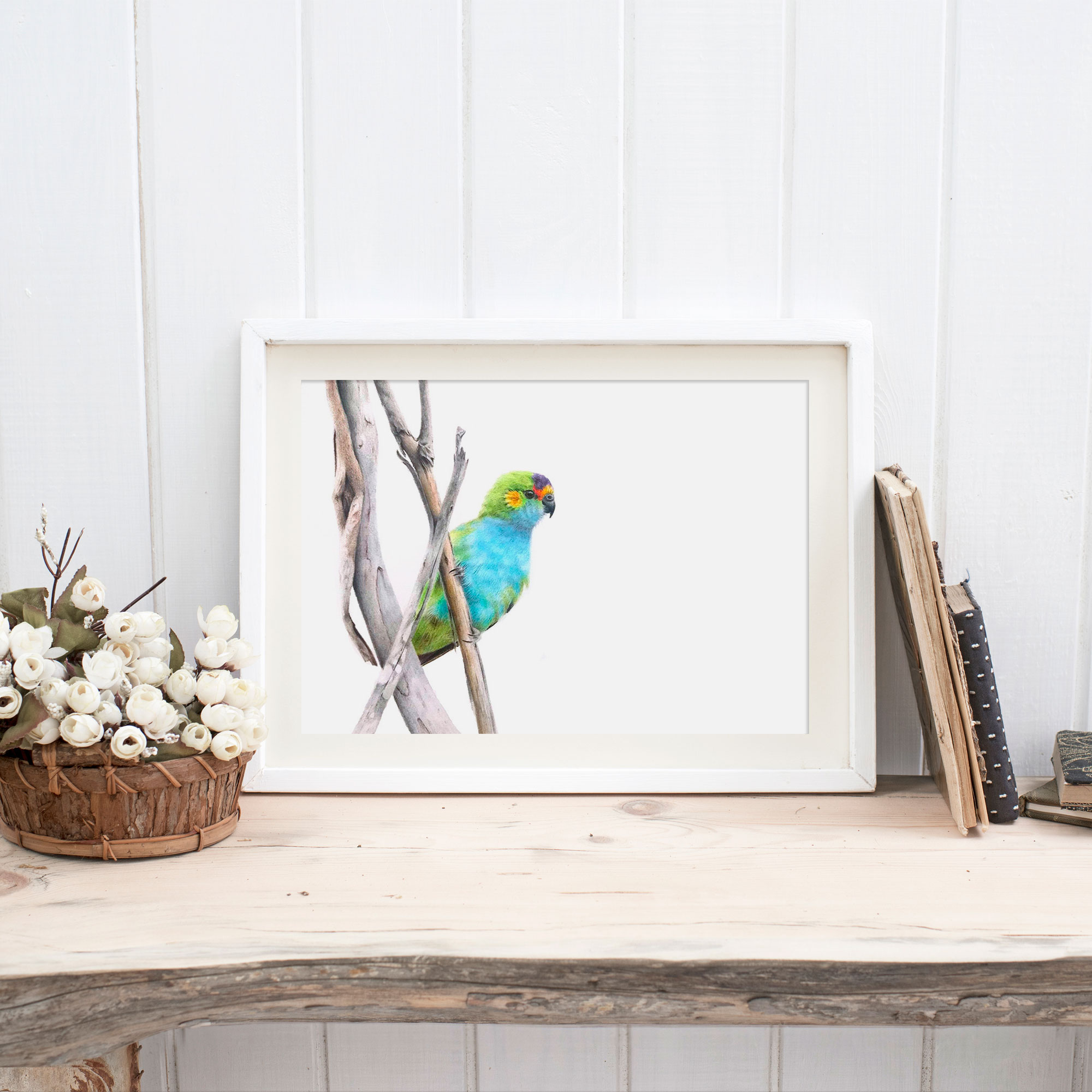 Purple-crowned Lorikeet Fine Art Print