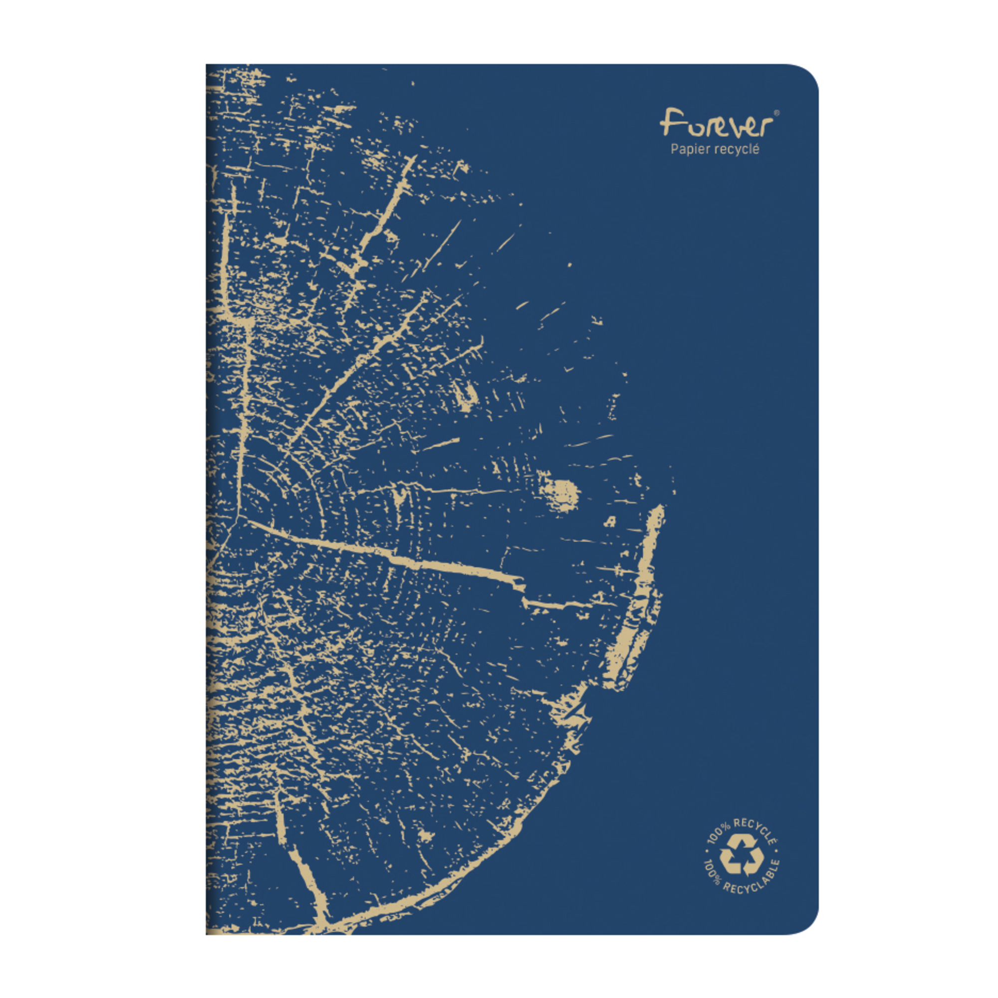 Clairefontaine Forever 100% Recycled Stapled Notebook A4 Lined Blue