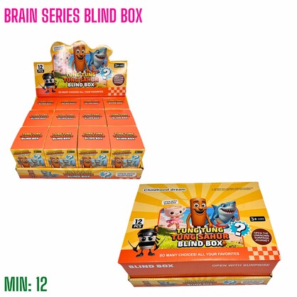 TO-BLINDBOX13 - Brain Series Blind Box