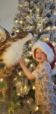 Wholesale Santa's Emporium