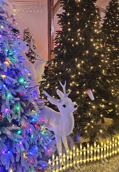 Santa's Emporium - Christmas 2025