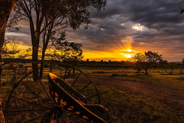 Wholesale Coolmunda Organics