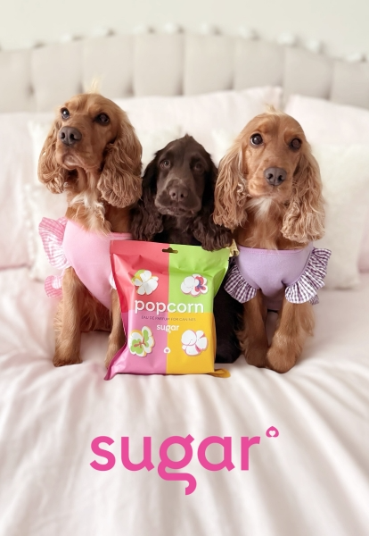 SUGAR - Sugar: Beauty & Wellness for Dogs