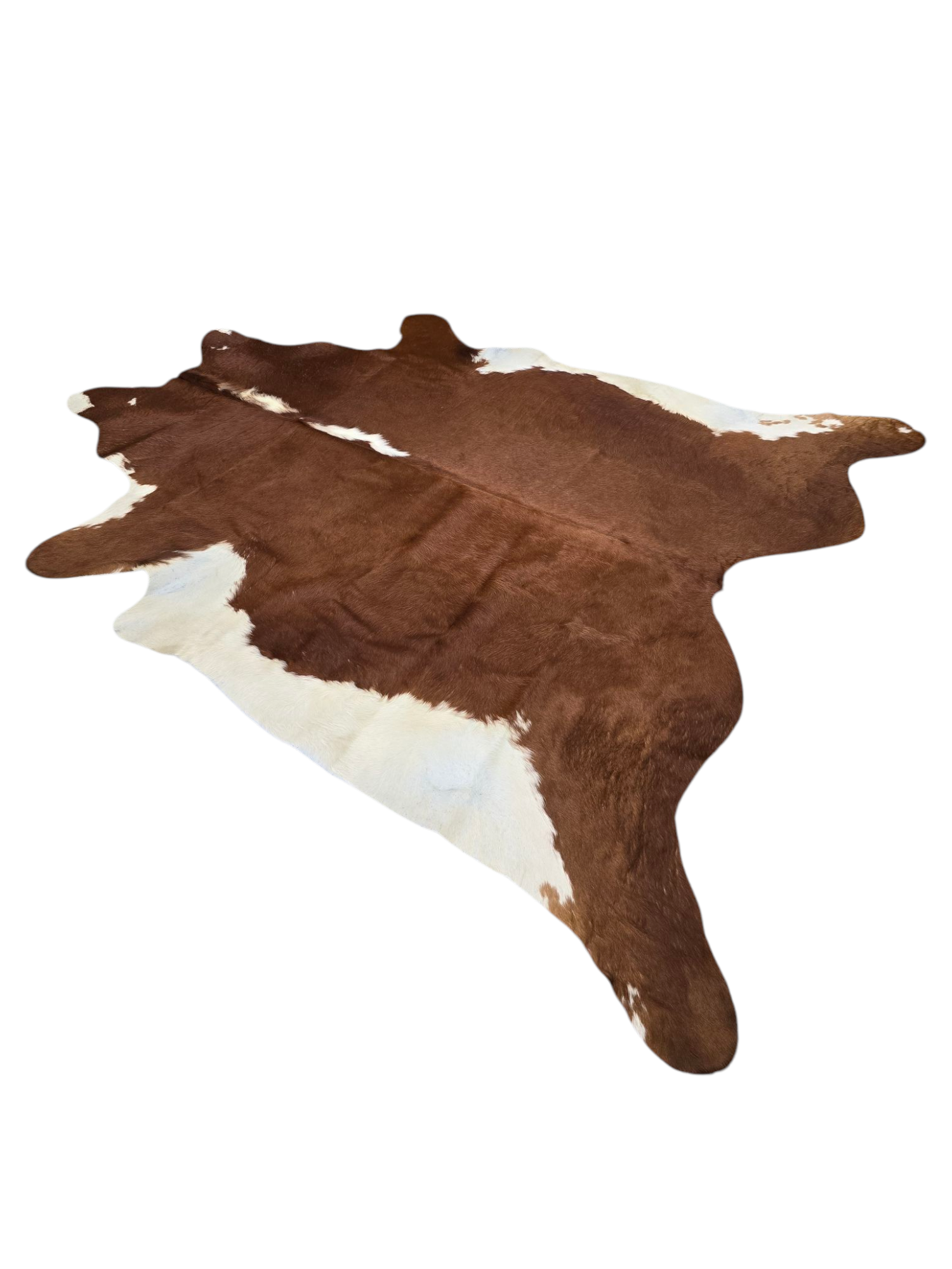 Cow Hide "Wild Red Man"