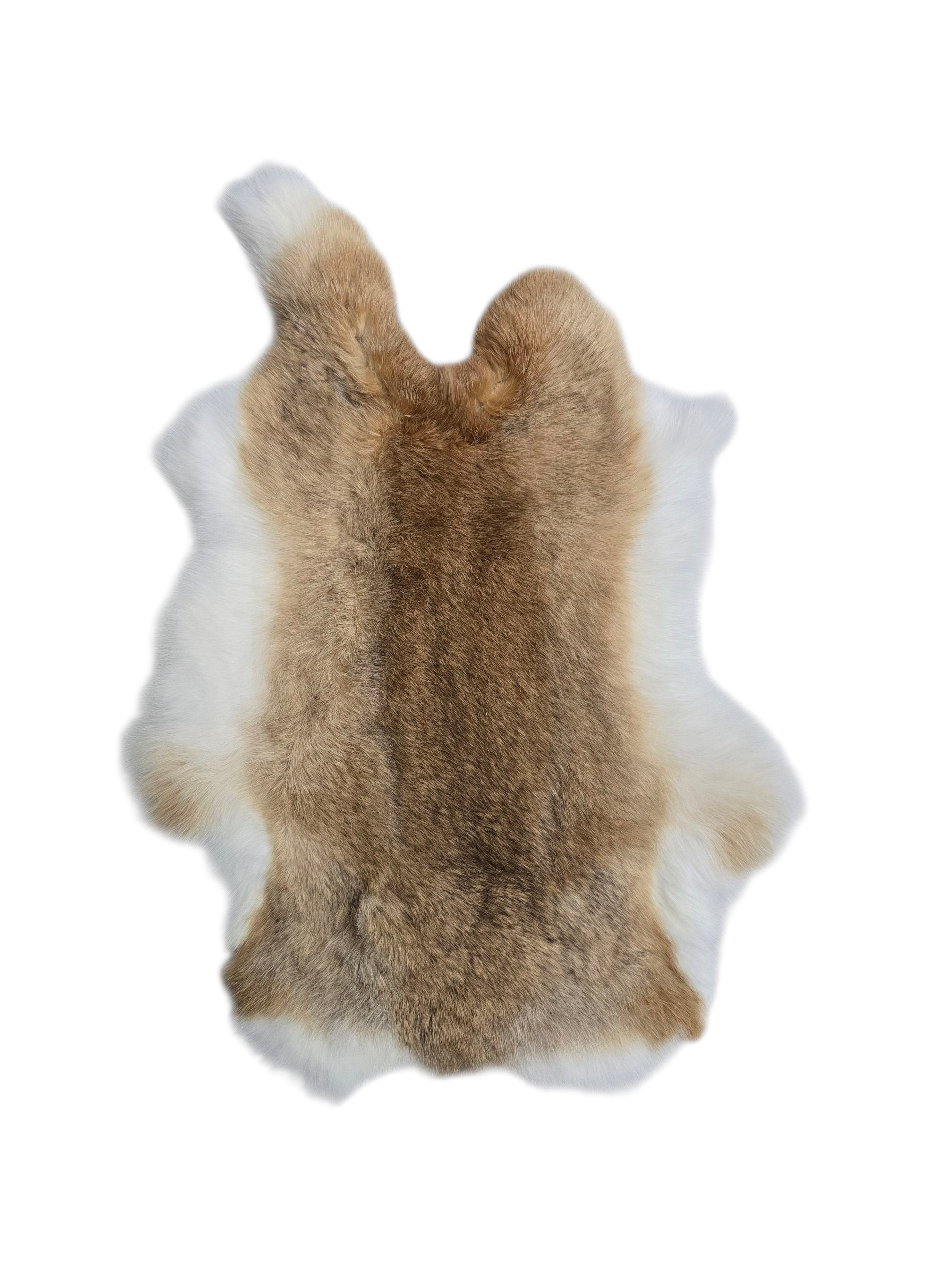 Rabbit Skin in Brown