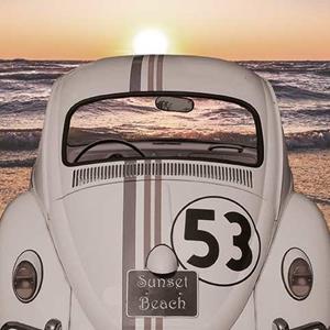SUNSET BEACH VW BEETLE $2.95 each