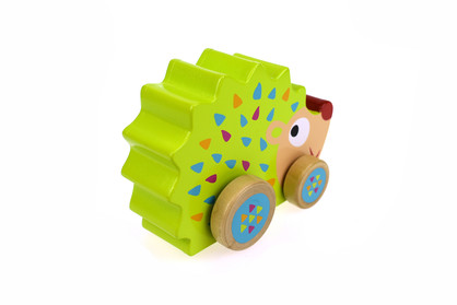 ECHIDNA WIND N WALK MUSIC BOX