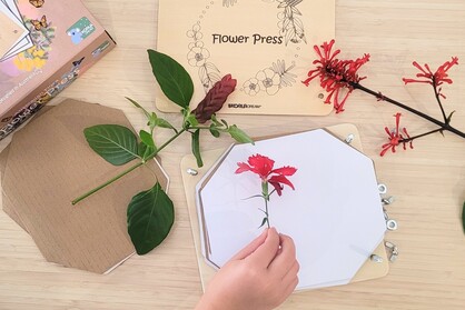 AUSTRALIAN FLORA FLOWER PRESS CRAFT KIT