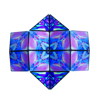 Shashibo - Artist Series - Assorted (CDU12)