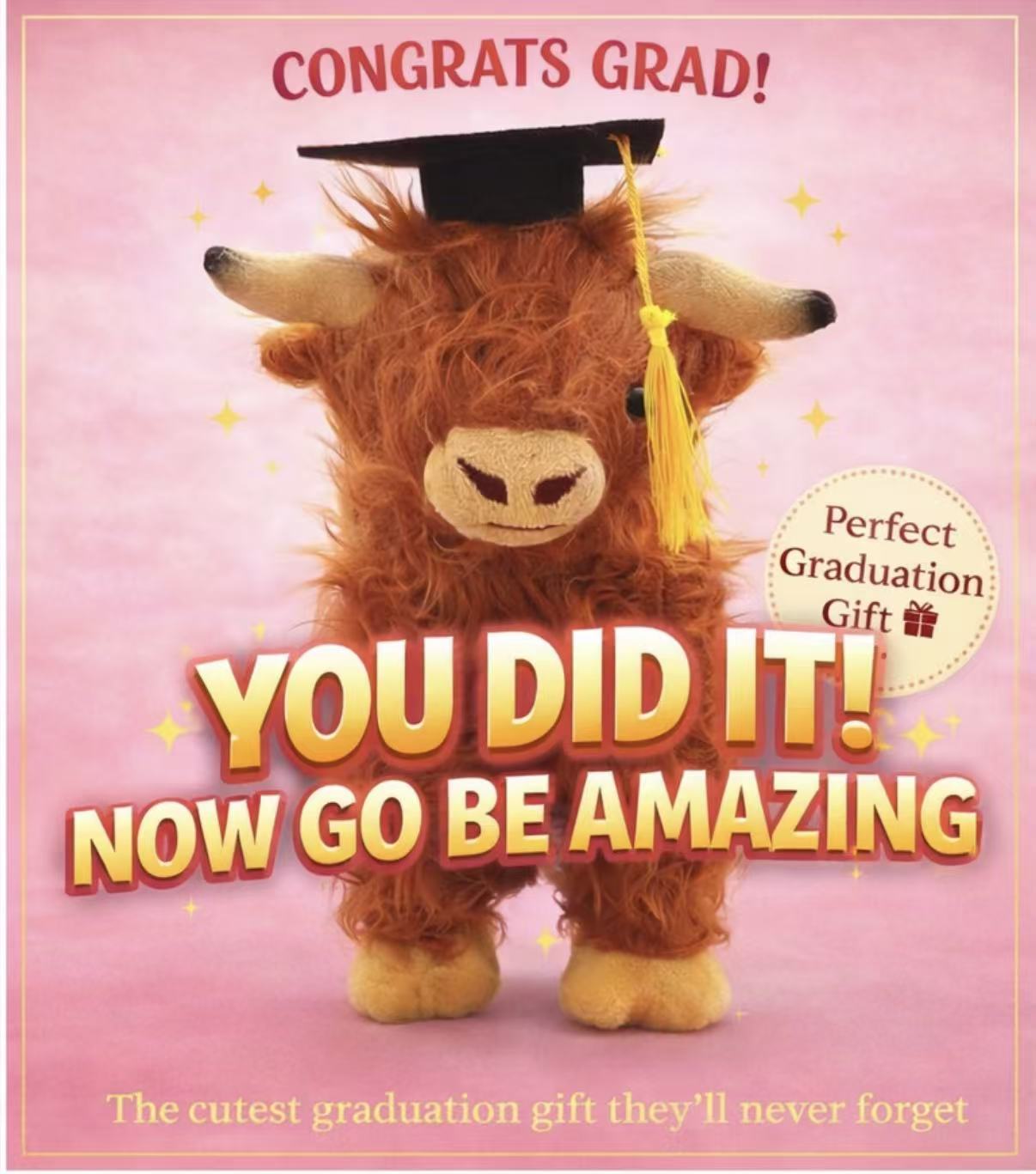 GRADUATION HIGHLAND COW PLUSH TOY