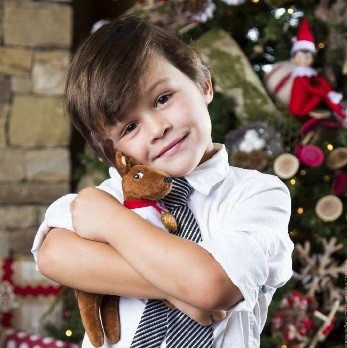 Elf Pets - A Reindeer Tradition
