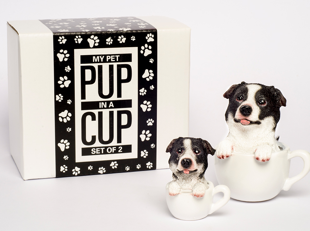Pup in a Cup Set - Bobby Border Collie