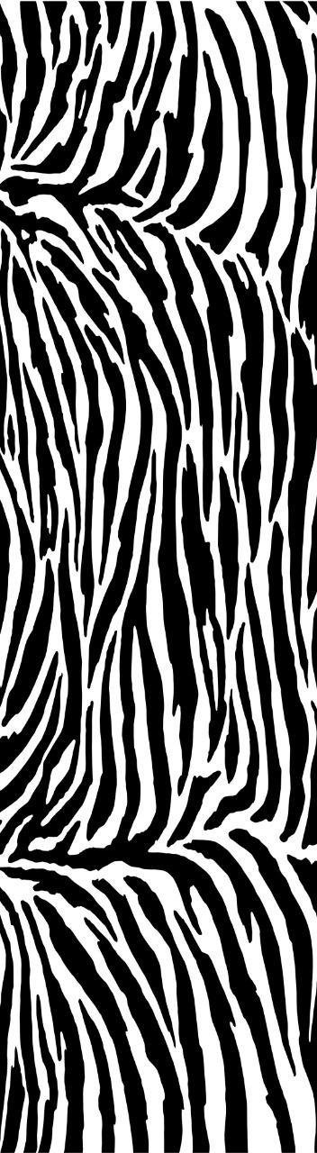 Summer Scarf Assorted