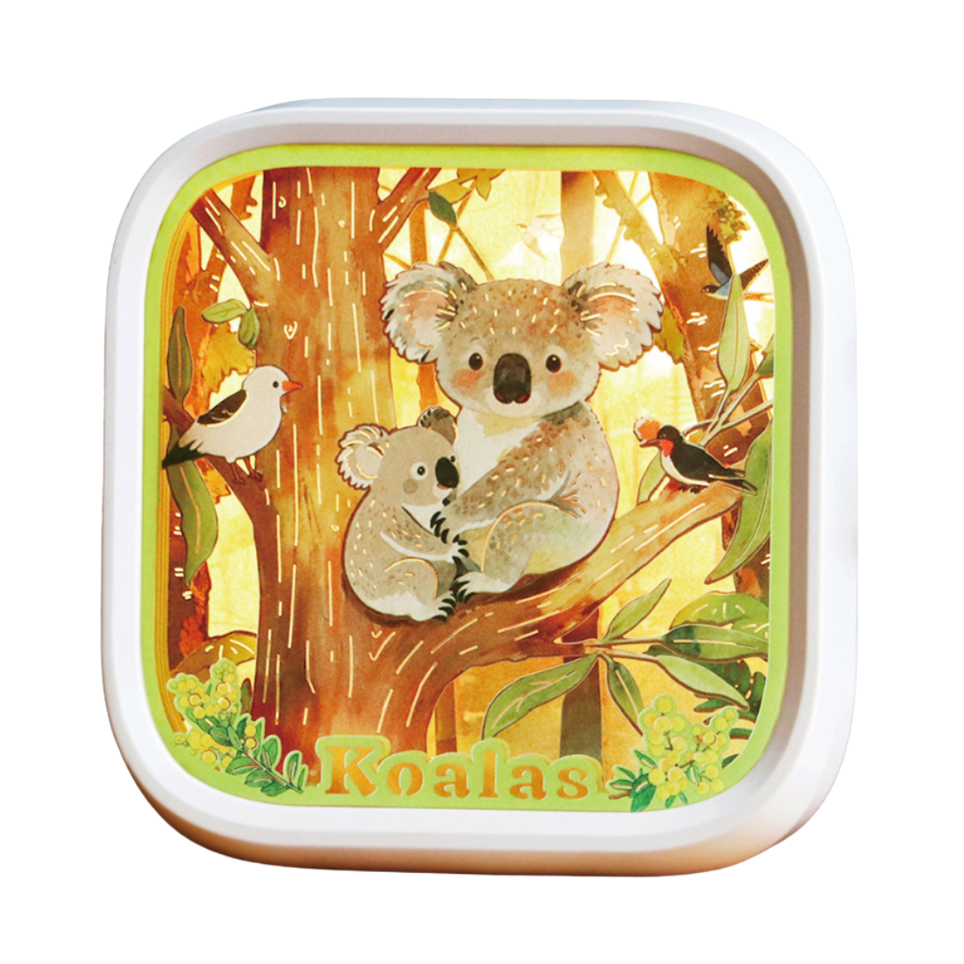 Light Up Australia - Koalas