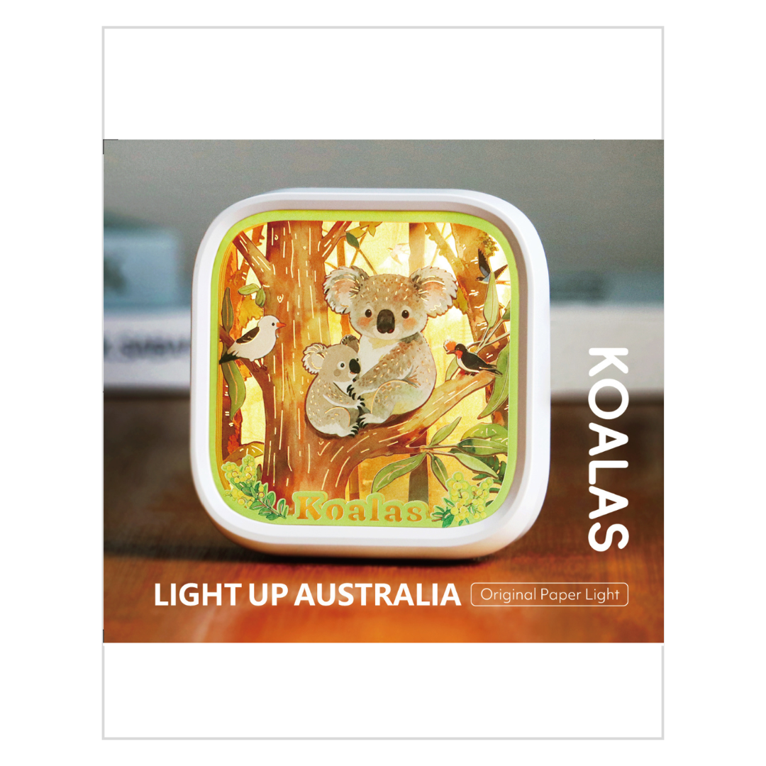 Light Up Australia - Koalas