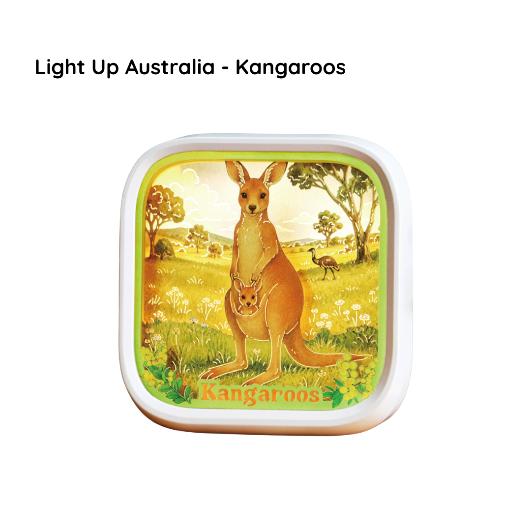 Light Up Australia - Kangaroos