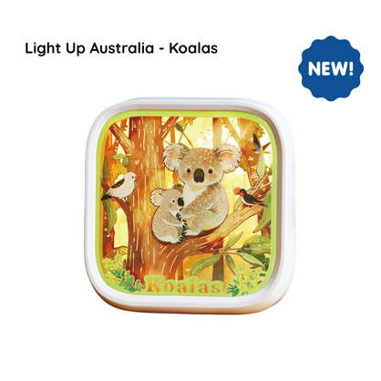 Light Up Australia - Koalas