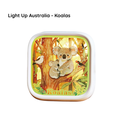 Light Up Australia - Koalas