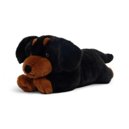 One Love - Pumpkin Dachshund