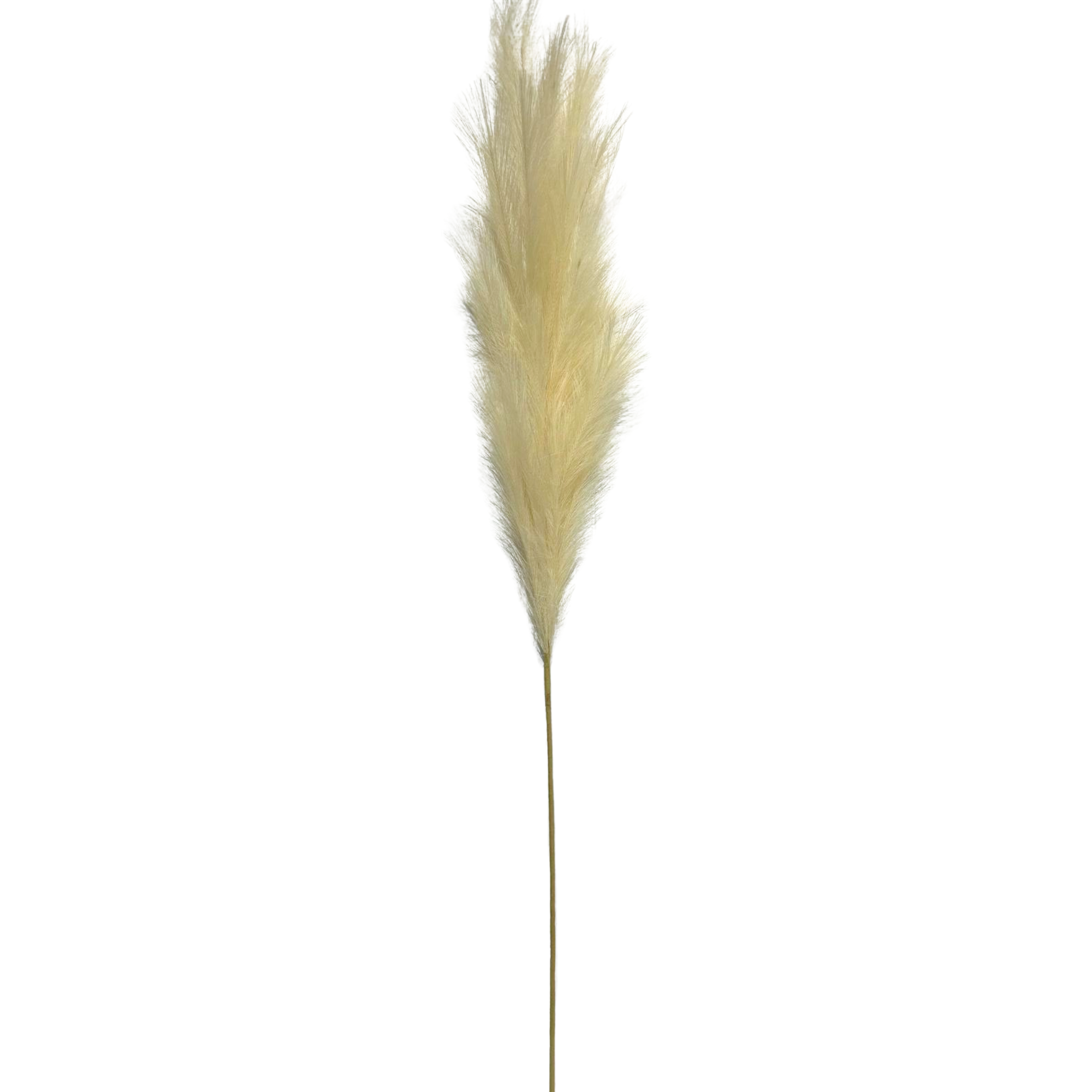 Artificial Beige Feather 1m