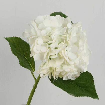 Hydrangea White Floral Arrangement